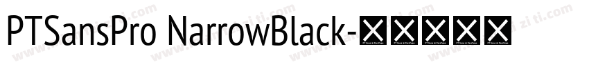 PTSansPro NarrowBlack字体转换